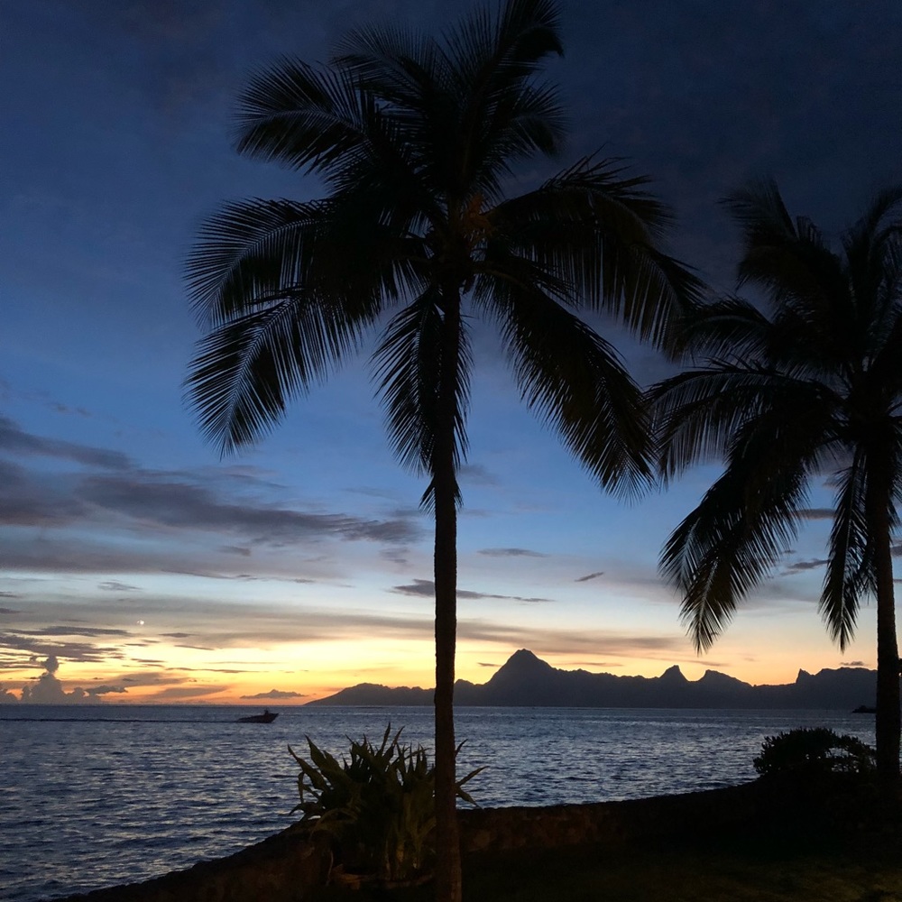 Meet your Posher, Sammy